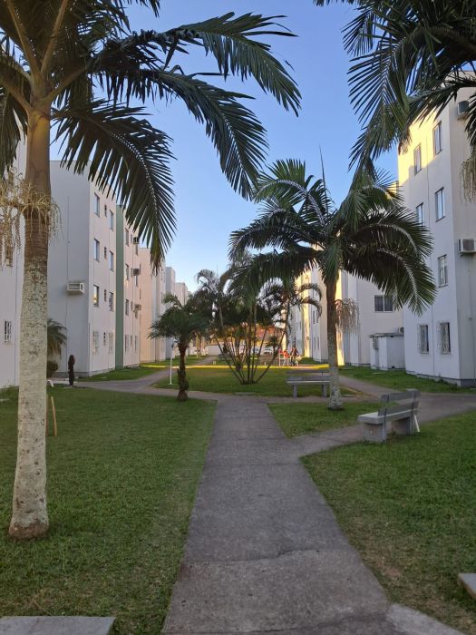 Apartamento - Venda - Centro - Tijucas - SC